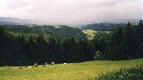 Schwarzwald Hochstrasse (Black Forest High Road)